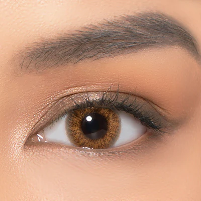 Summer Lovin Chestnut