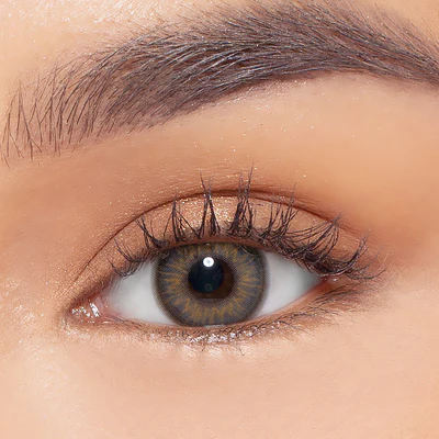 Snowdrop Smokey Grey